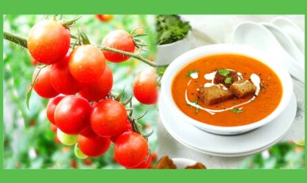 Tomato-Soup-Recipe-Smart-knowledge-sk