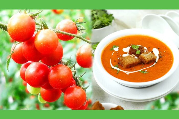 Tomato Soup Recipe In Hindi-टमाटर सूप बनाने की विधि हिंदी में