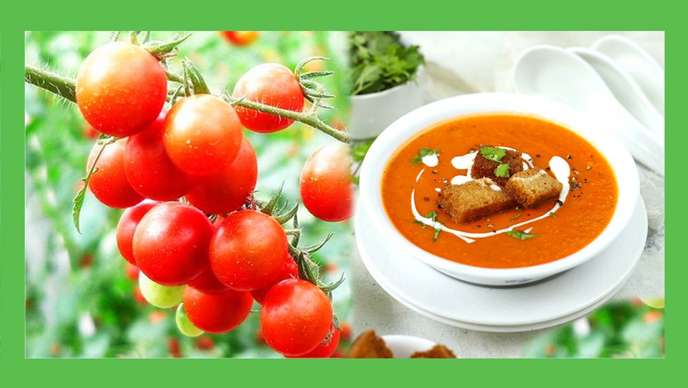Tomato-Soup-Recipe-Smart-knowledge-sk