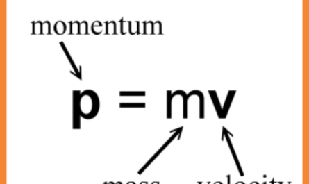 What is Momentum