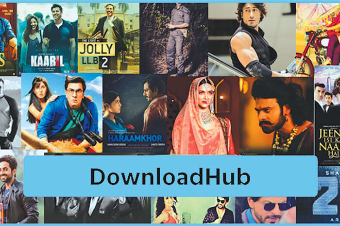 DownloadHub 2022–300MB Dual Audio Bollywood South Movies