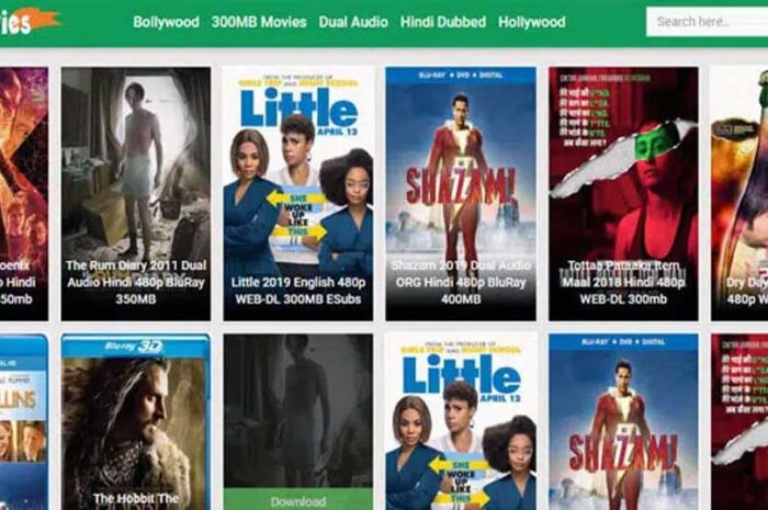 9xMovies 2023 – 300MB Bollywood, Dubbed Movies Download